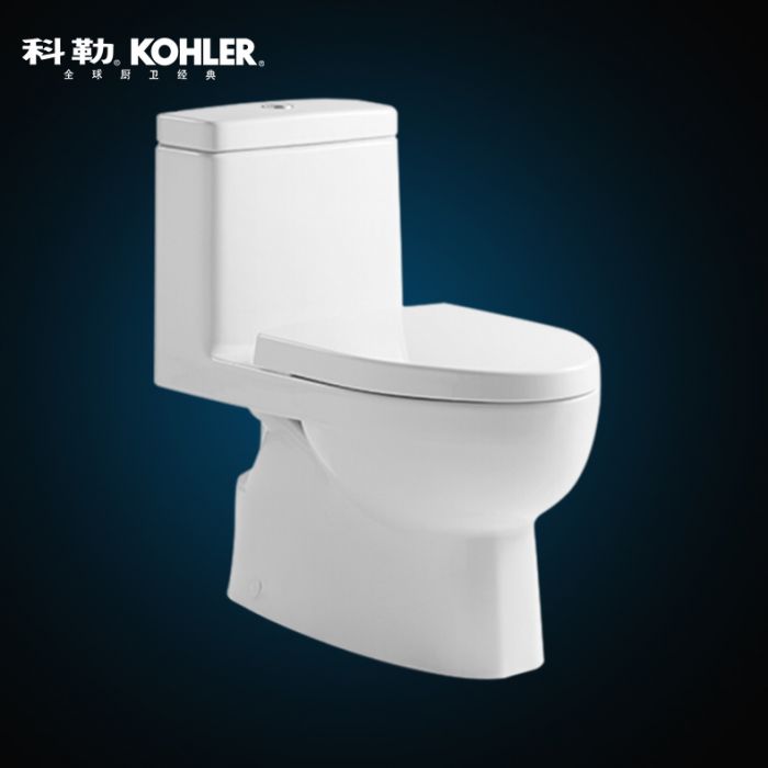 瑞琦“3/4.8升五級(jí)旋風(fēng)綠能”連體座便器（ K-3983T-S2-0） 305MM坑距-含瑞琦緩降座便器蓋板凈雅版